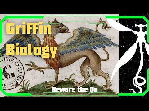 The Biology of the Griffin | The Griffin Explained