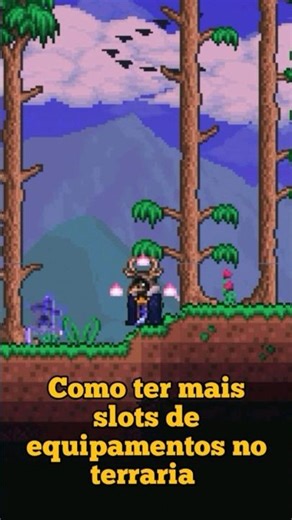 How to get more equipment slots in Terraria