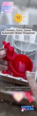 Automatic drinking machine for chickens and ducks#Chicken and duck#Water dispenser