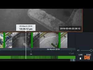 DW Spectrum® IPVMS Feature Tutorials: Adaptive Timeline