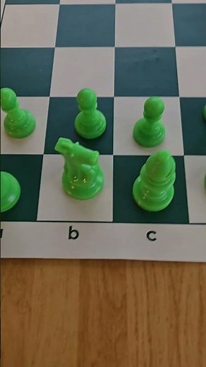 Chess Set Vinyl Boards with Plastic Pieces
