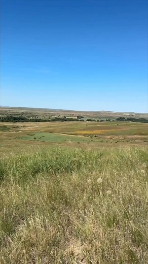 Bear With Horns “Final Battle “ #littlebighorn #fblifestyle #custer. | Jeff Schreckler
