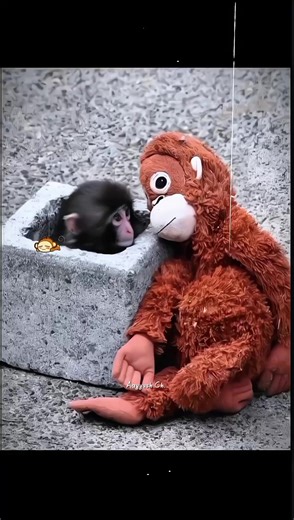 Punch Monkey Japan: Fun Updates and Edits