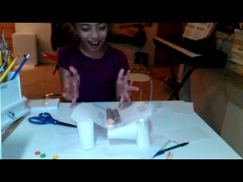 STEM Challenge: bridge for 100 pennies