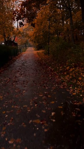 ￶ (@poisntree)s video med we fell in love october