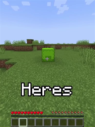 Kelp with Bonemeal in Minecraft: A Superior Growth Strategy