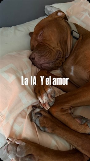 Daniela Viscaya ▶Psicóloga | ¿Buscas conexión o comodidad? 👁️A veces, en la búsqueda de ser nuestra “mejor versión” y de encontrar “la pareja perfecta”, empezamos a... | Instagram