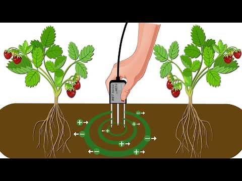 Delta-T Devices WET Kit Video (featuring the WET Sensor)