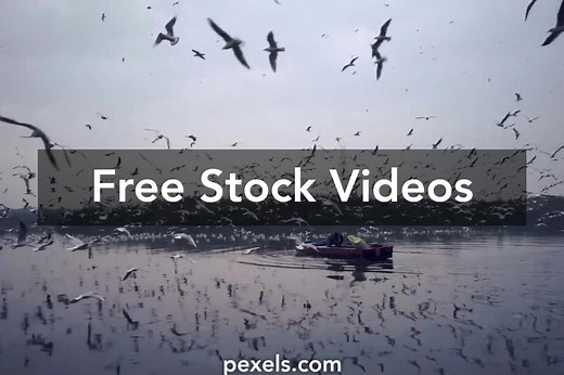 Free No Copyright Videos, Download The BEST Free 4k Stock Video Footage & Free No Copyright HD Video Clips
