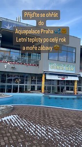 2.8K views · 20 reactions | Aquapalace Praha on Reels | Facebook