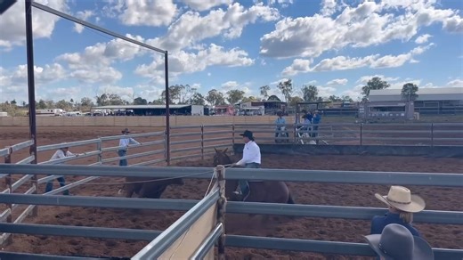 42K views · 514 reactions | Further to our results post yesterday, it...