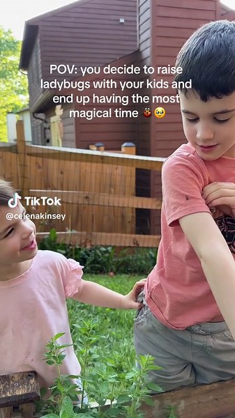 No but in all honesty we pick an insect to raise every year (I just get a kit from @Insect Lore ) and we always have such an incredible experience. Last year we raised caterpillars into butterflies and this year ladybugs. I think we’ll do praying mantis next year 🤔 Have you tried this yet? Which insects have you raised? #homeschool #homeschooling #homeschoolmom #momoftwo #ladybug