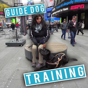 618K views · 178 reactions | We followed the training for a NYC guide dog  Learn more here! bit.ly/2H33cWM | BestProducts.com | Facebook