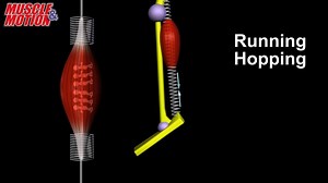 478 reactions · 271 shares | Running and Hopping VS. Resistance...