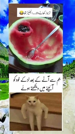 Amazing word for great #inspiration​ #motivational​ #quotes​ ‎