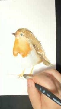 🐦‍⬛TRY WATERCOLOR!! #coloringrainbows #watercolor #robin