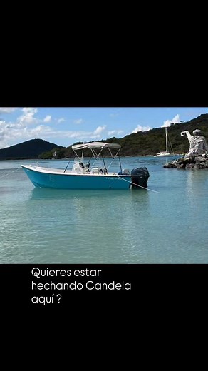 🏝️🏝️🏝️🏝️ | Petrel Boats