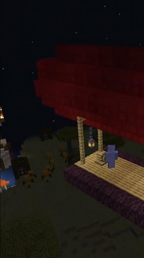 #minecraft airship 👽