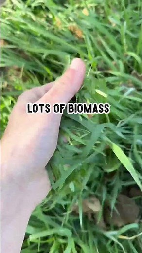 What is a cover crop?