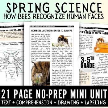 Spring Science Bee Senses & Survival unit, anatomy, worksheets, sub plans