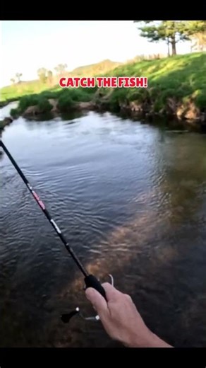 Epic Fish Spotting! #shorts