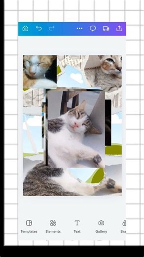 Photo Collage | Jcresates #canva #tutorial #youtubeshorts #shorts #cat