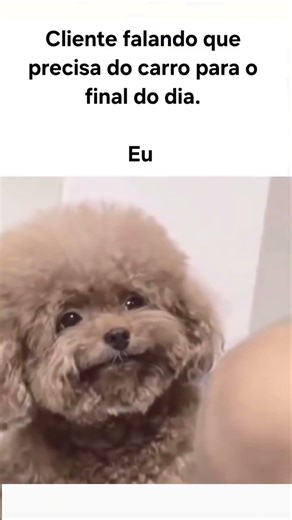 Vou ter que contar 🫠