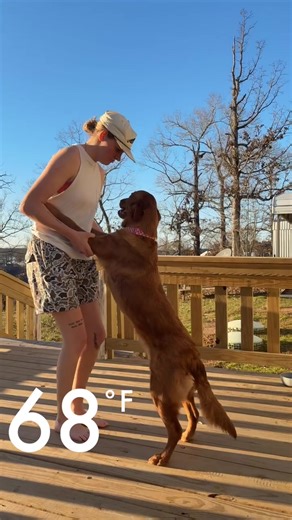 Destiny Rust on Reels