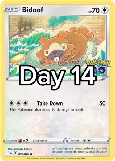 Day 14 Bidoof 大牙狸 #14daychallenge #superfanschallenge #bidoof