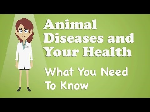Animal Diseases and Your Health - What You Need To Know