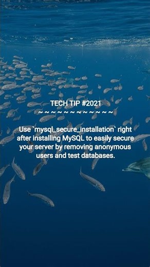 Secure Your MySQL Server in Seconds | 2026-01-14 | #Shorts #codinghacks #programmingtips