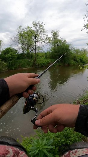 Catch Big Trout with XL Bugzilla Lures