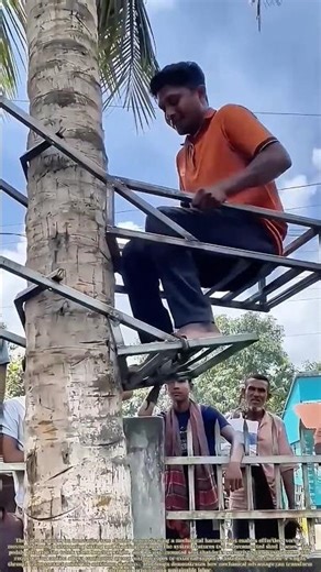 Tree Ascension: How a Simple Harness Revolutionizes Vertical Harvesting