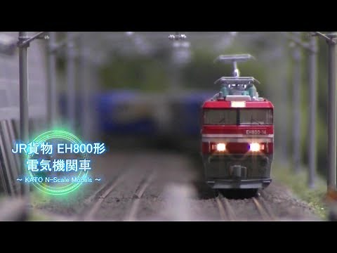 【Nゲージ鉄道模型】JR貨物 EH800形 電気機関車