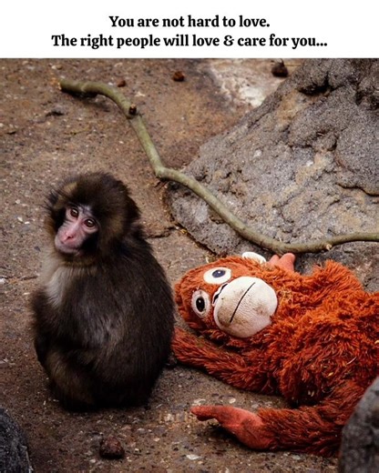 Wait for the right person 🥹 || ‪@Ivy_Glaze‬ #punchmonkey #punch #monkey #emotional#love#sad#fypシ