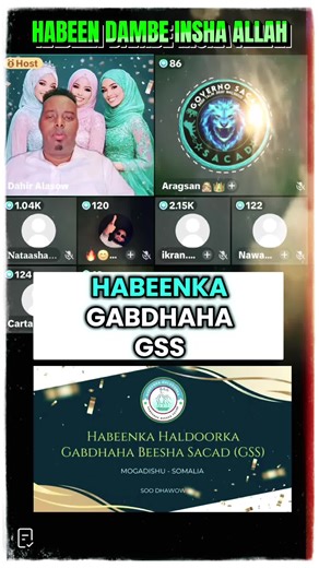 Habeen Dambe Insha Allah: A Night to Remember