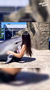 This heartwarming moment will melt your heart! ❤️ Watch a girl embrace a dolphin in the pool. #heartwarming #emotional #joy #happy #family #love #viral #incredible #touching #dolphin #girl #ocean #animal #wildlife #marinelife #nature #cute #adorable #animallovers #naturelovers | Heartsome