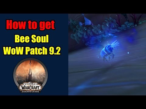 How to get Bee Soul (Night Fae Soulshape) | World of Warcraft Shadowlands