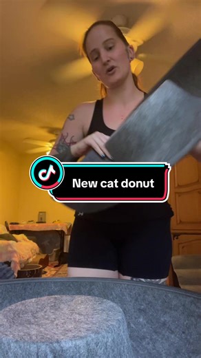 Cat Donuts for Cats - A Must-Have for Feline Fun!