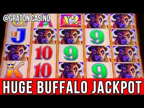 OMG! ALL 15 GOLD BUFFALOES JACKPOT HAND PAY 💰@ Graton Casino | NorCal Slot Guy