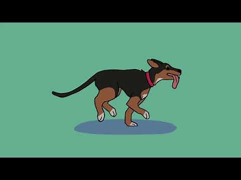 Dog Running (animation loop)
