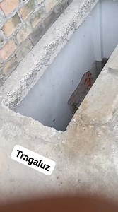 Tragaluz! #diseñoseingenieria #IngenieríaCivil #construcción | Diseños e ingeniería