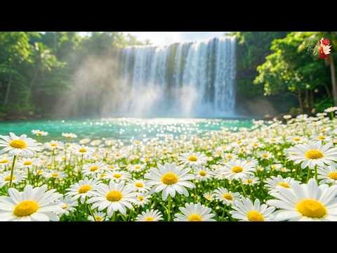 (No Ads) Spring Awakening • Music Therapy 🌸 Calms the Nervous System & Refreshes Your Soul