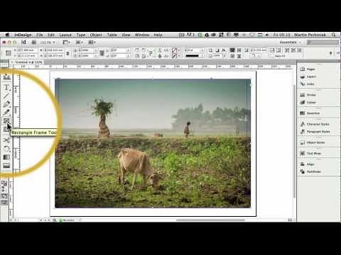 How to Create Multiple Frames with One Image in Adobe InDesign