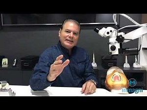 Princípios Básicos da Endodontia