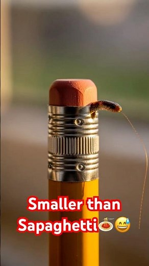 Unbelievably Tiny Snake Discovered! 🔍🐍