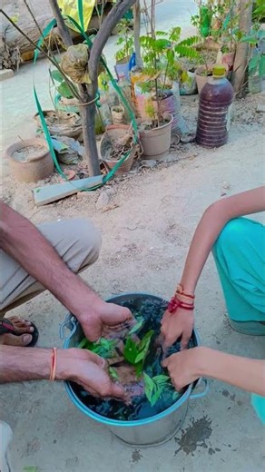 एक राम भक्त की कहानी🚩🙏🏼|| ram ji status || jai shree ram || ❤Pani ke sath masti 😱 #shortsfeed