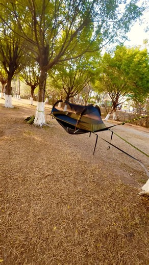 Ultimate Lay Flat Hammock for Wood Campers