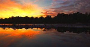 Video by Ambient_Nature_ Atmosphere on Pexels