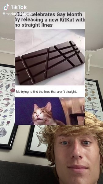 marielledoggies on TikTok